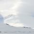 New memorial for victims of Erebus Antarctic plane crash to miss 40th anniversary